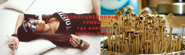 ГАЛЛЮЦИНОГЕННЫЕ ГРИБЫ Навашино