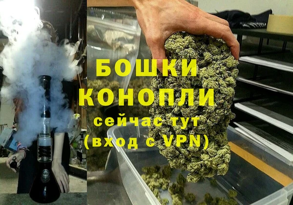 ПСИЛОЦИБИНОВЫЕ ГРИБЫ Наволоки