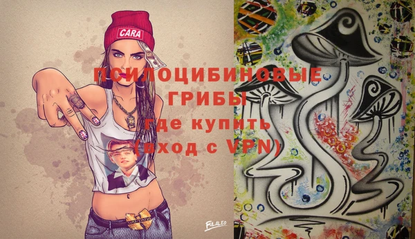 ПСИЛОЦИБИНОВЫЕ ГРИБЫ Наволоки