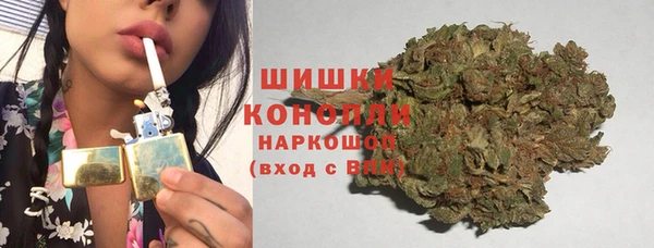 ПСИЛОЦИБИНОВЫЕ ГРИБЫ Наволоки